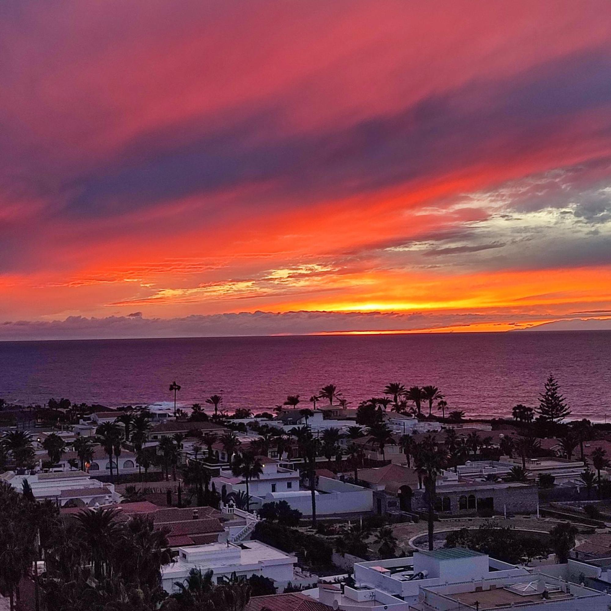 Margherita House Tenerife, Wonderful Ocean View Lägenhet Palm-mar Exteriör bild