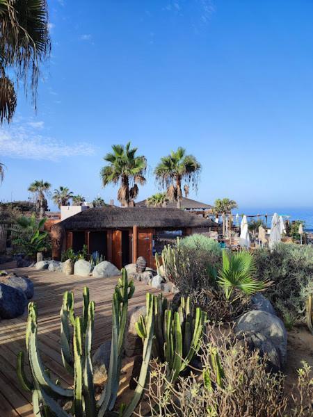 Margherita House Tenerife, Wonderful Ocean View Lägenhet Palm-mar Exteriör bild