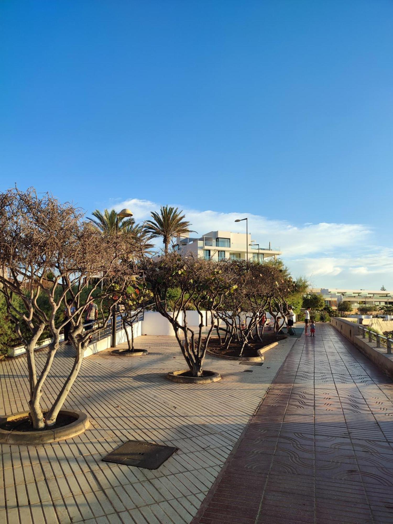 Margherita House Tenerife, Wonderful Ocean View Lägenhet Palm-mar Exteriör bild