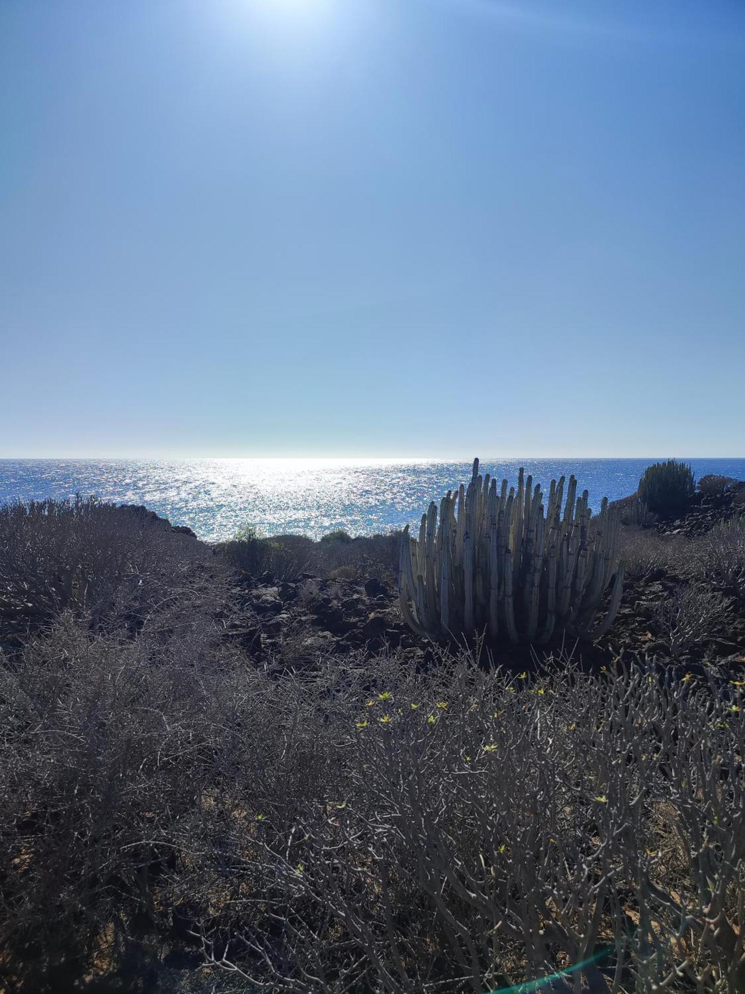 Margherita House Tenerife, Wonderful Ocean View Lägenhet Palm-mar Exteriör bild